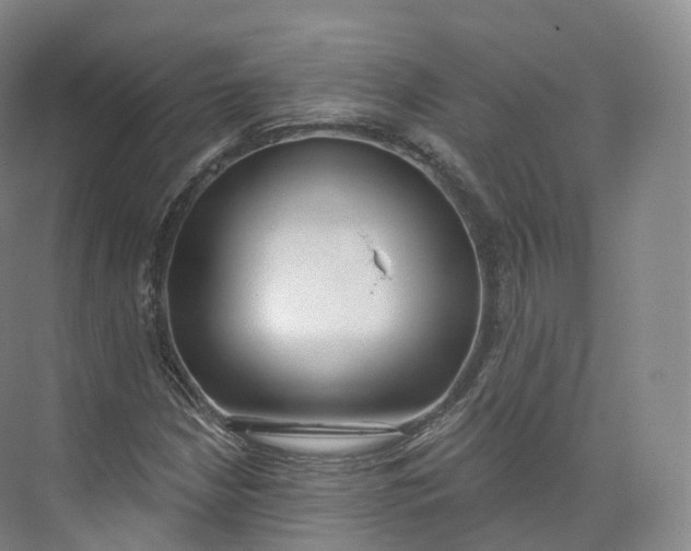 X0000073481210200608140807