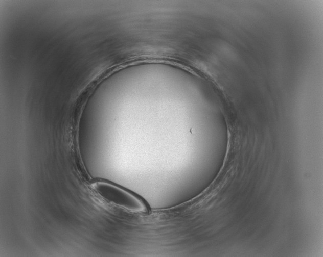 X0000073481211200608140807