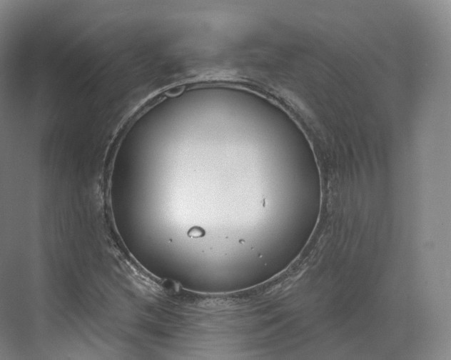 X0000073481212200608140807