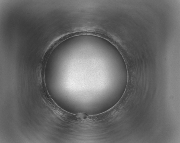 X0000073481214200608140807