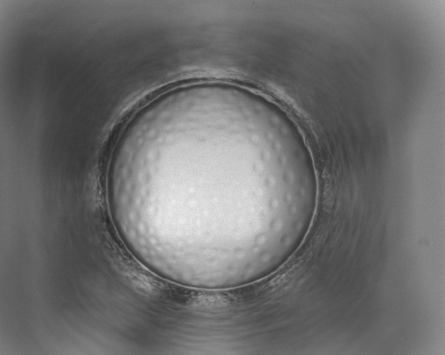 X0000073481215200608140807