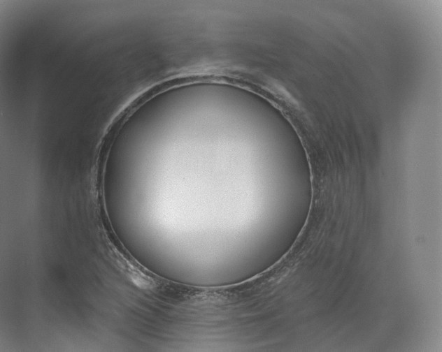 X0000073481216200608140807