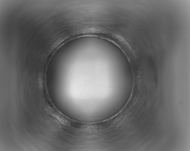 X0000073481217200608140807