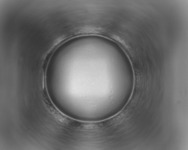 X0000073481219200608140807