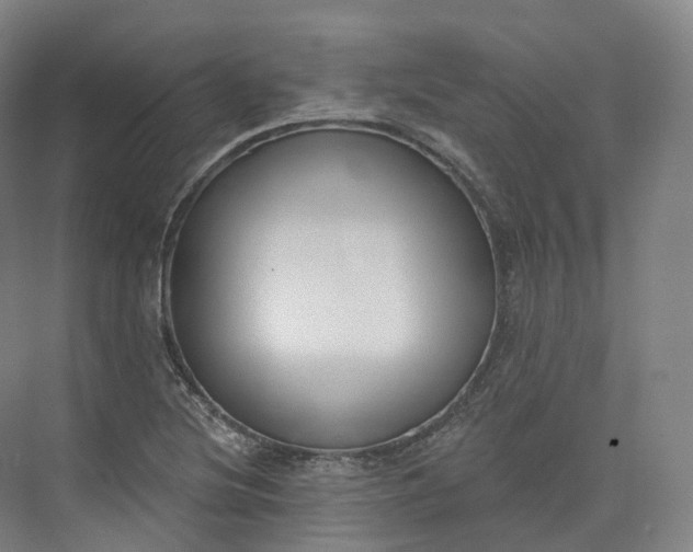 X0000073481220200608140807