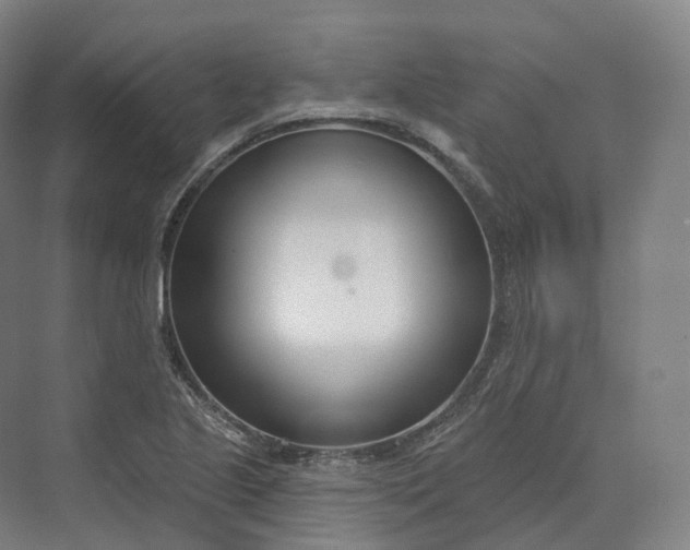 X0000073481221200608140807