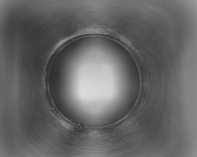 X0000073481222200608140807