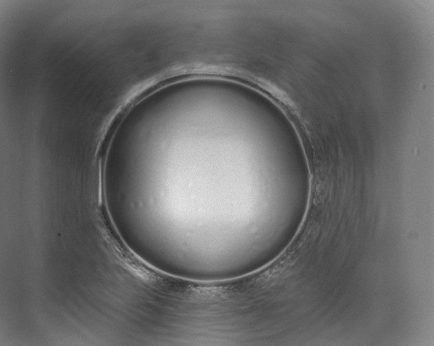 X0000073481223200608140807