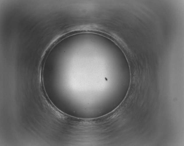 X0000073481224200608140807