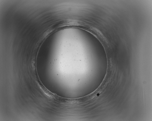 X0000073481225200608140808