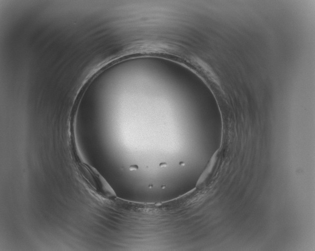 X0000073481226200608140808