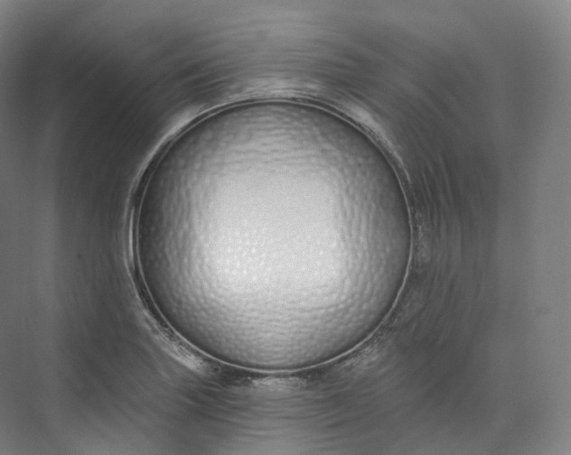 X0000073481227200608140808