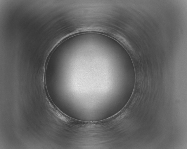 X0000073481228200608140808