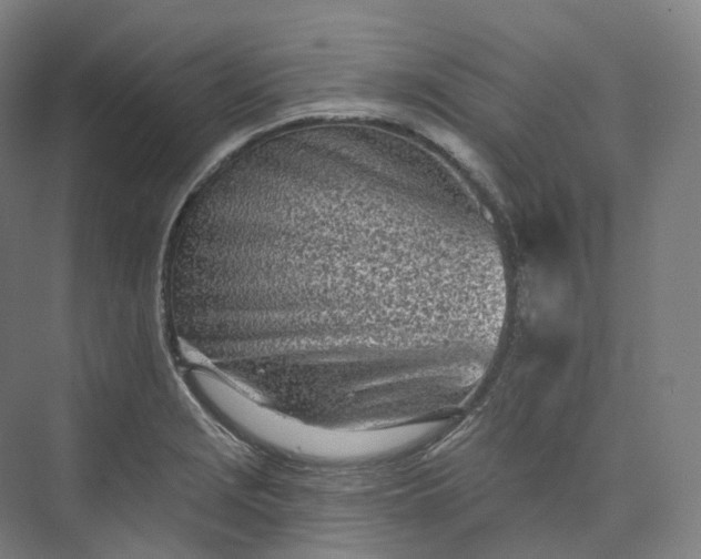 X0000073481229200608140808