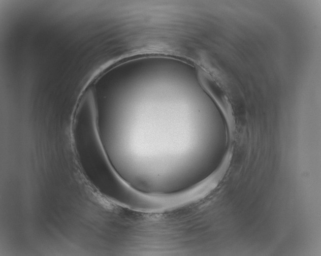 X0000073481230200608140808