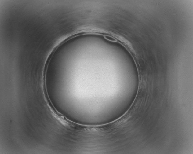 X0000073481231200608140808