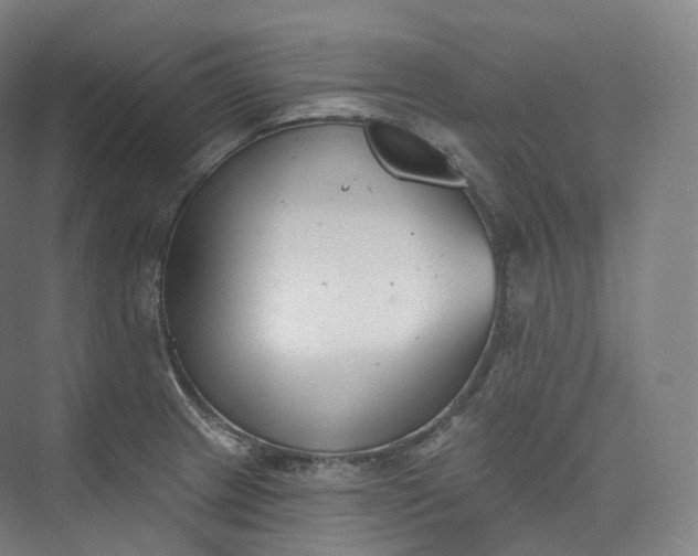 X0000073481233200608140808