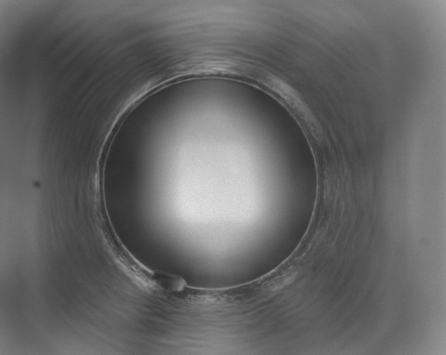 X0000073481234200608140808