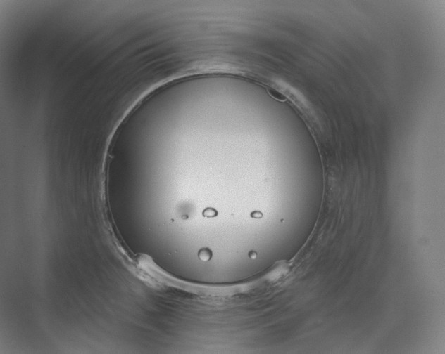 X0000073481236200608140808