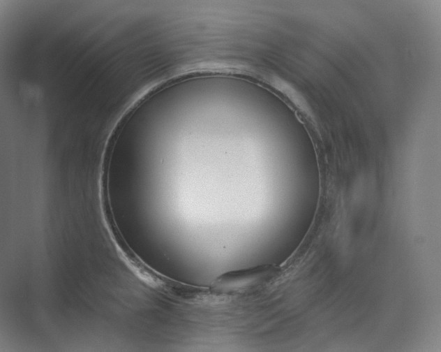 X0000073481237200608140808