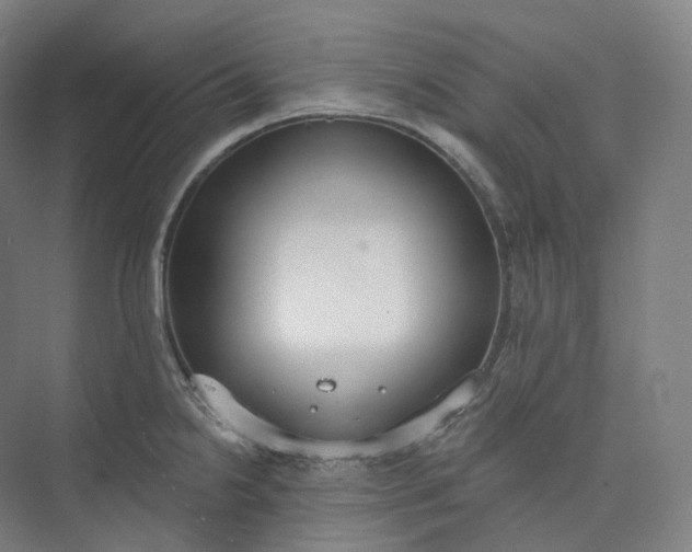 X0000073481238200608140808