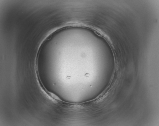 X0000073481239200608140808