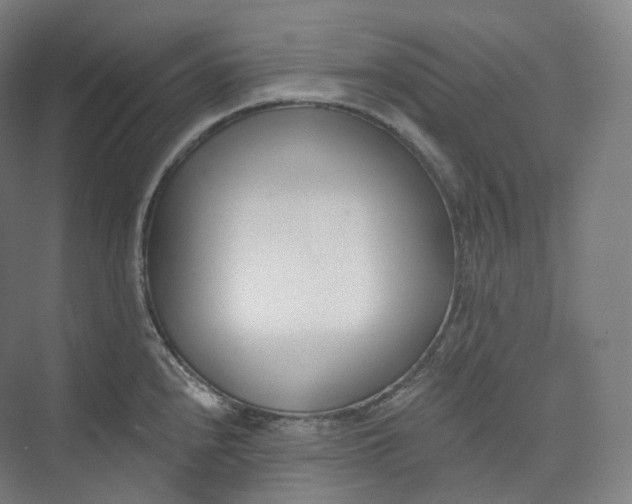 X0000073481240200608140808