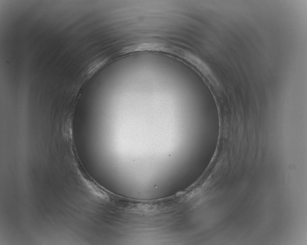 X0000073481241200608140808