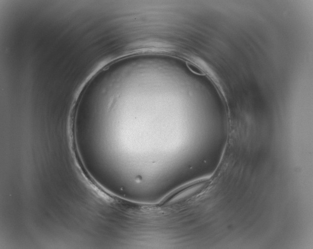 X0000073481243200608140808