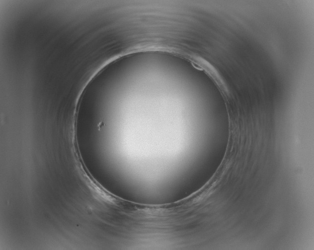 X0000073481244200608140808