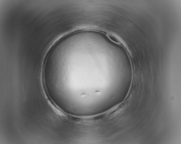 X0000073481245200608140808