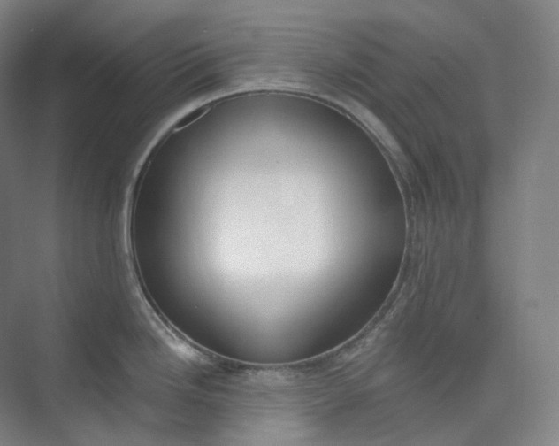 X0000073481246200608140808