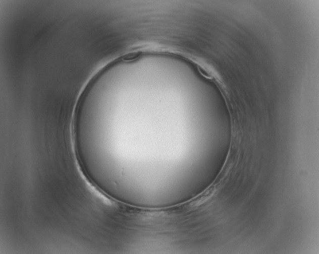 X0000073481247200608140808