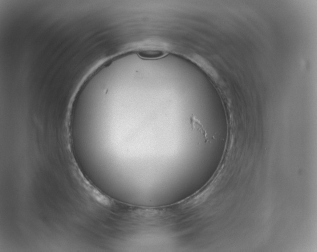 X0000073481248200608140808