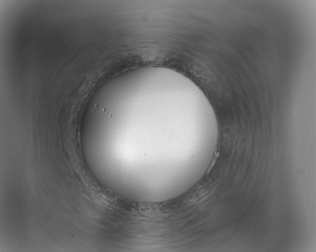 X0000073481249200608140807