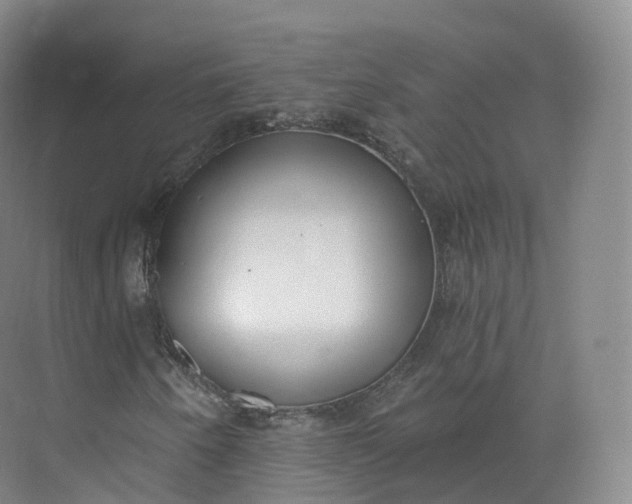 X0000073481250200608140807