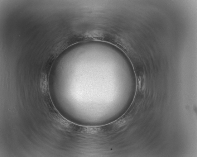 X0000073481251200608140807