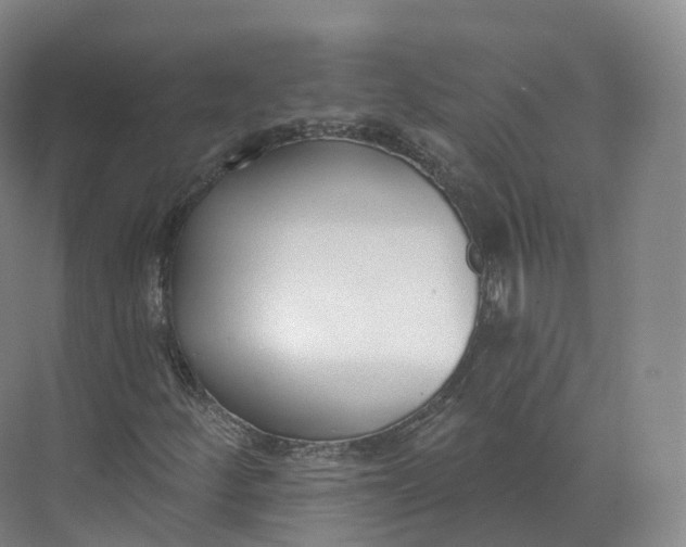 X0000073481252200608140807