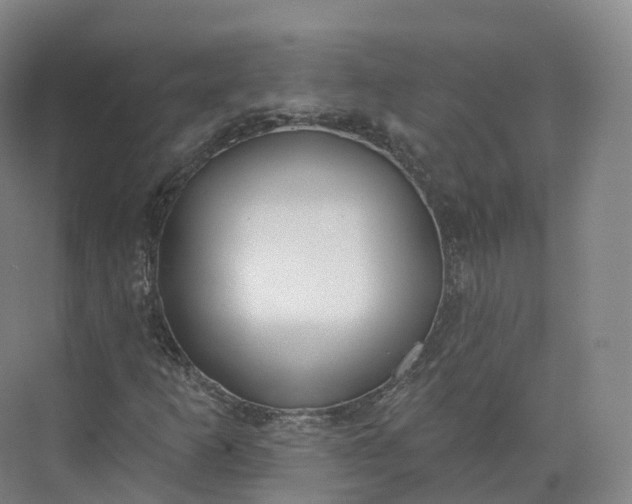 X0000073481253200608140807