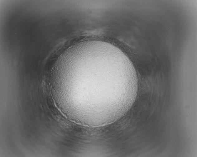 X0000073481254200608140807