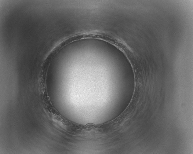 X0000073481256200608140807