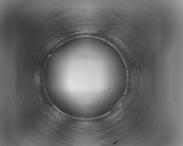 X0000073481257200608140807