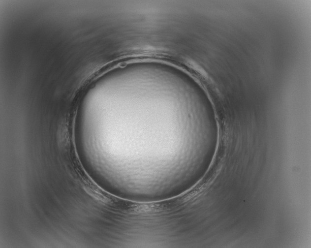 X0000073481259200608140807