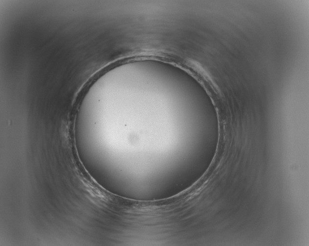 X0000073481260200608140807