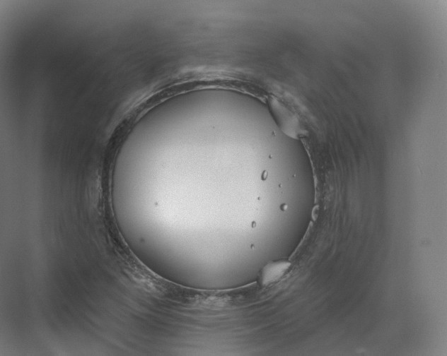 X0000073481261200608140807