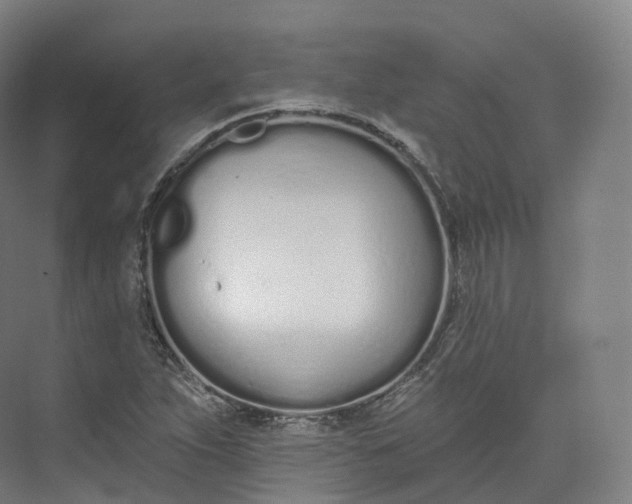 X0000073481263200608140807