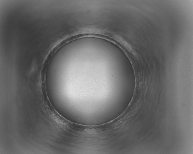 X0000073481264200608140807