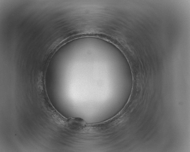 X0000073481265200608140807