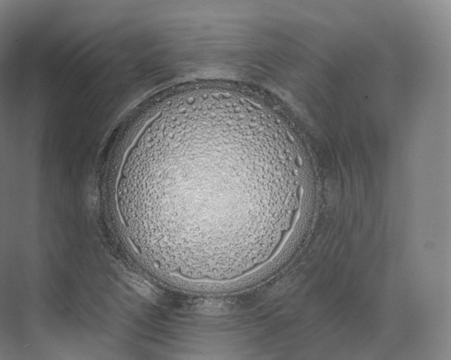 X0000073481266200608140807