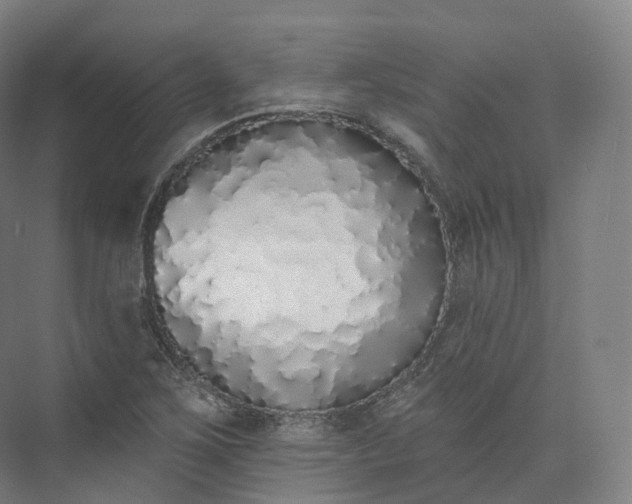 X0000073481267200608140807